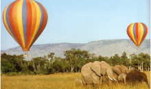 Balloon Festival At the Mara This Weekend