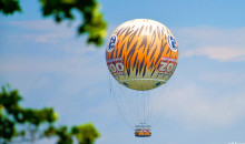 What Was It Like to Work in the ZooBalloon?